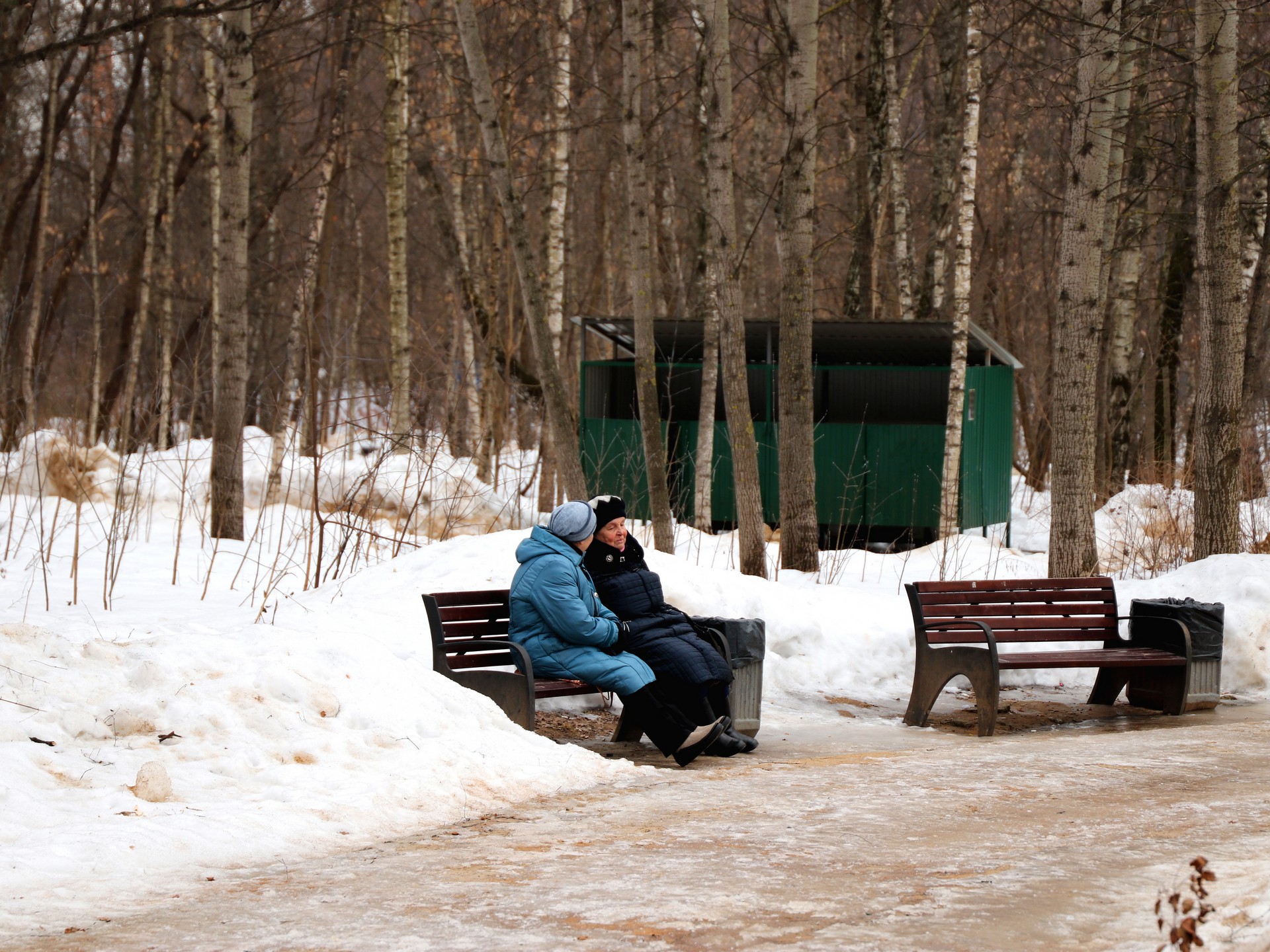 Медведковский лесопарк, парки Москвы, зима, весна, прогулка, лес, дорога, коляска, пенсионеры фото Юлии Смагринской