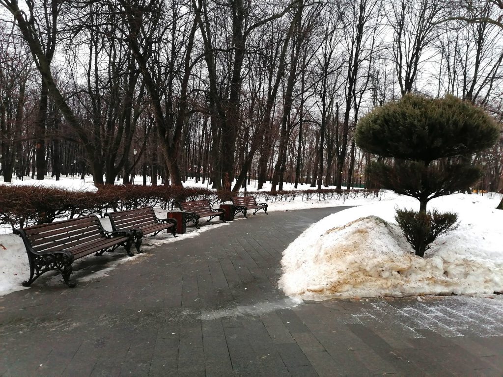 Лефортовский парк, Фото Юлии Смагринской