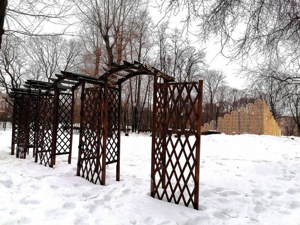 Лефортовский парк, Фото Юлии Смагринской