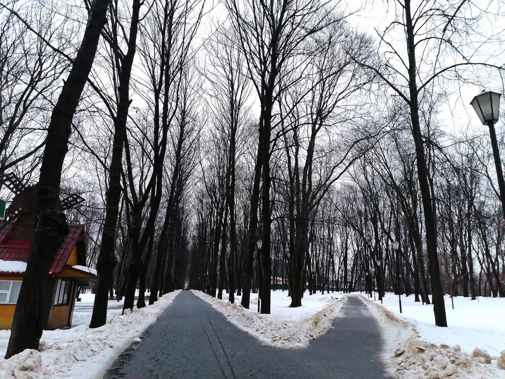 Лефортовский парк, Фото Юлии Смагринской