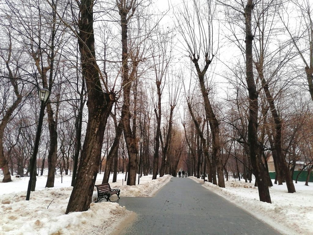 Лефортовский парк, Фото Юлии Смагринской
