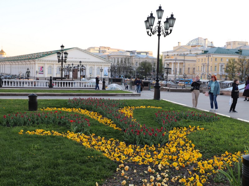 цветники, цветы, весна, Манежная площадь, озеленение, фото Юлии Смагринской
