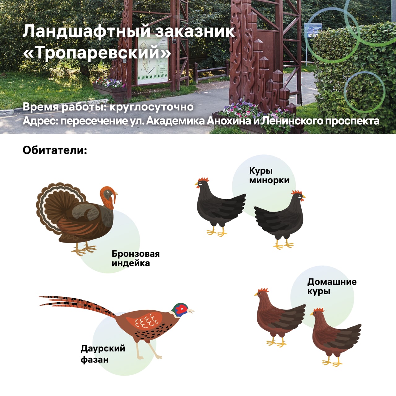 Тропаревский