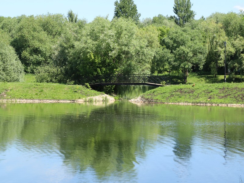 Лазоревы пруды, вода, лето, фото Юлия Смагринская