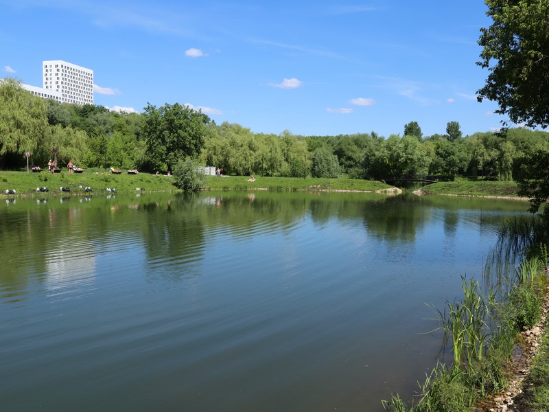 Лазоревы пруды, вода, лето, фото Юлия Смагринская
