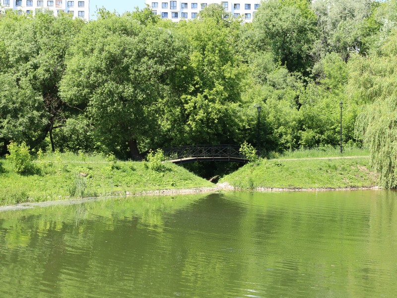 Лазоревы пруды, вода, лето, фото Юлия Смагринская