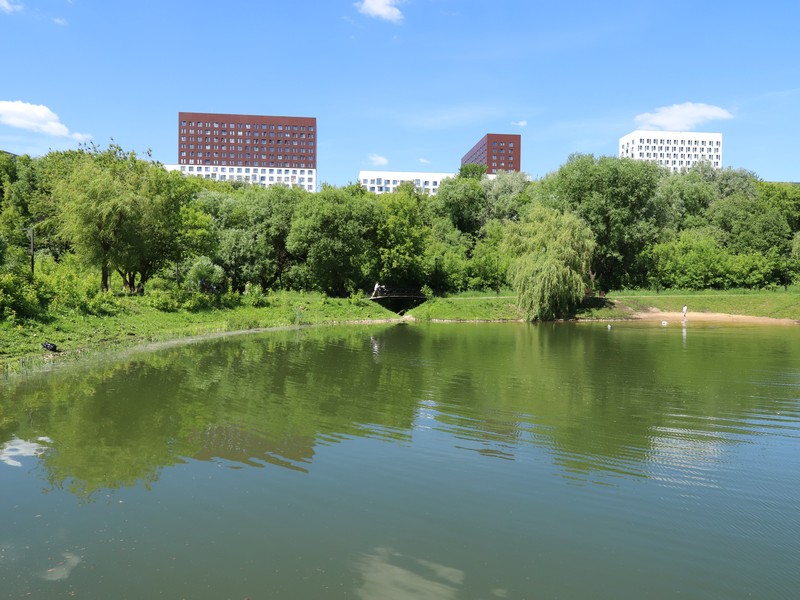 Лазоревы пруды, вода, лето, фото Юлия Смагринская