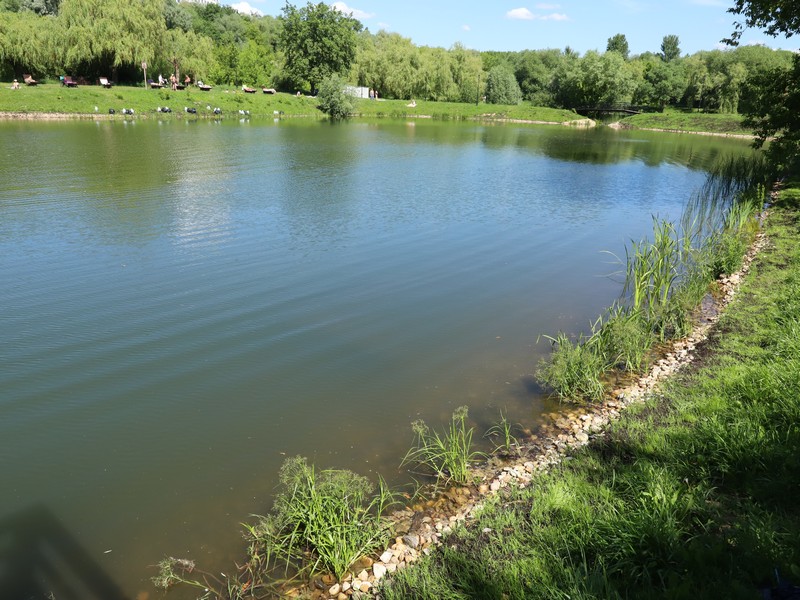 Лазоревы пруды, вода, лето, фото Юлия Смагринская