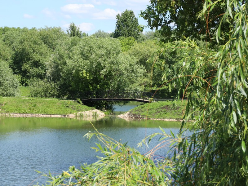 Лазоревы пруды, вода, лето, фото Юлия Смагринская