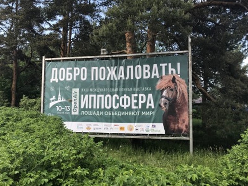 лошади, фото Андрей Егоров, ипподром
