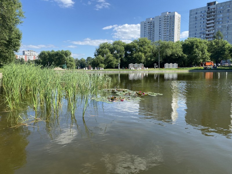 биоплато, ГБУ «Мосводосток», озеленение