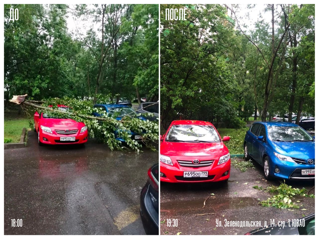 дерево упало нас машину, ветер повалил деревья, фото КГХ