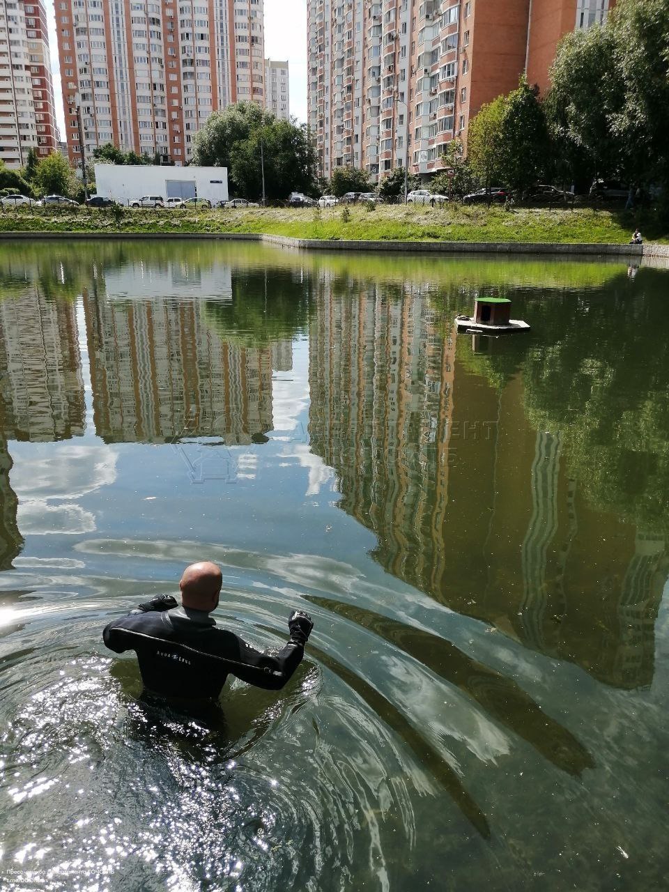 спасатели, фото ГОЧС, утка, пруд
