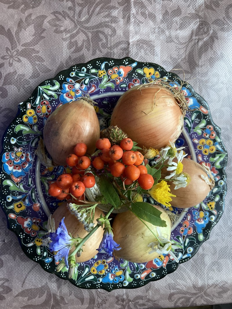 лук, овощи, фото Нина Донских