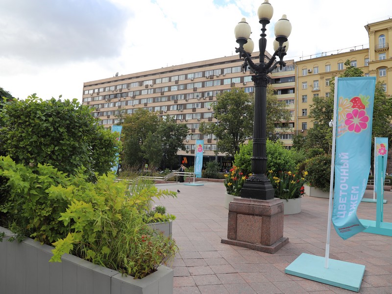 сад Геометрия природы в Новопушкинском сквере, фото Юлия Смагринская