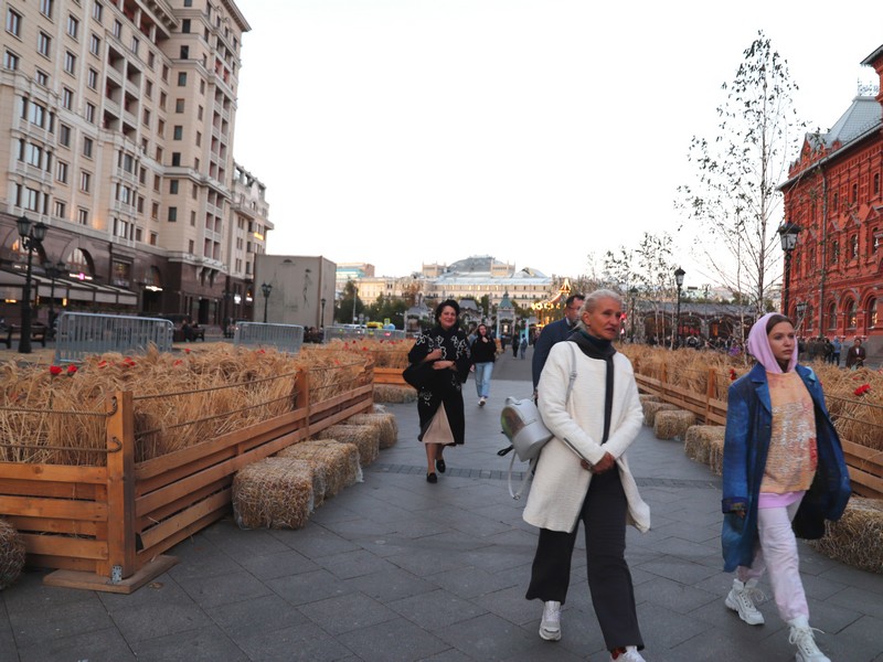 сад Русское поле в переходе от Манежной к Площади Революции, фото Юлия Смагринская