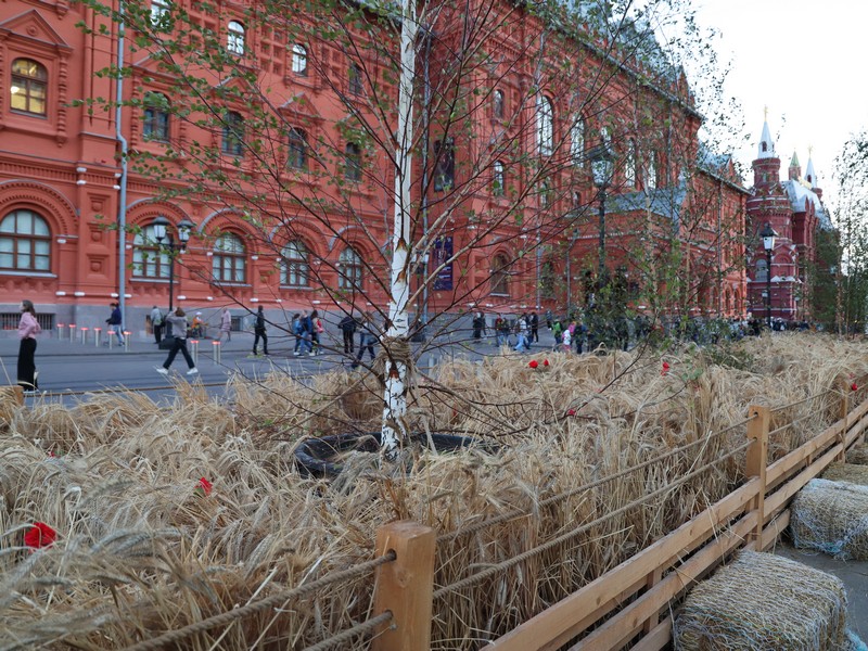 сад Русское поле в переходе от Манежной к Площади Революции, фото Юлия Смагринская