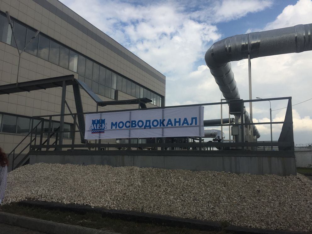 лос, фото Лидия Миловидова
