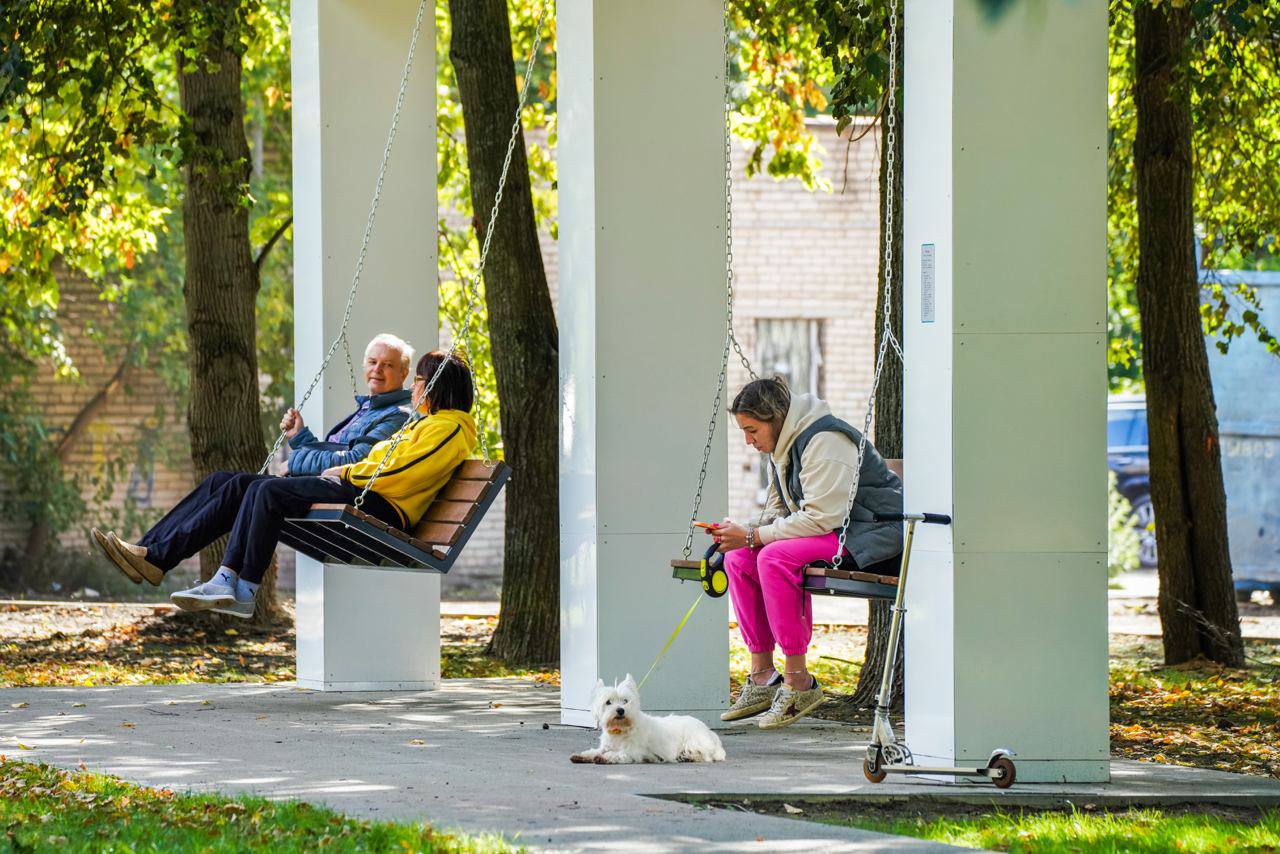 качели, сквер улица Юности, осень, собака, прогулка, дорожка, фото КГХ