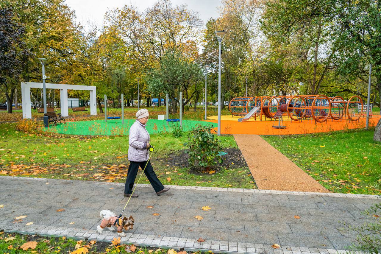 сквер улица Юности, осень, собака, прогулка, дорожка, фото КГХ