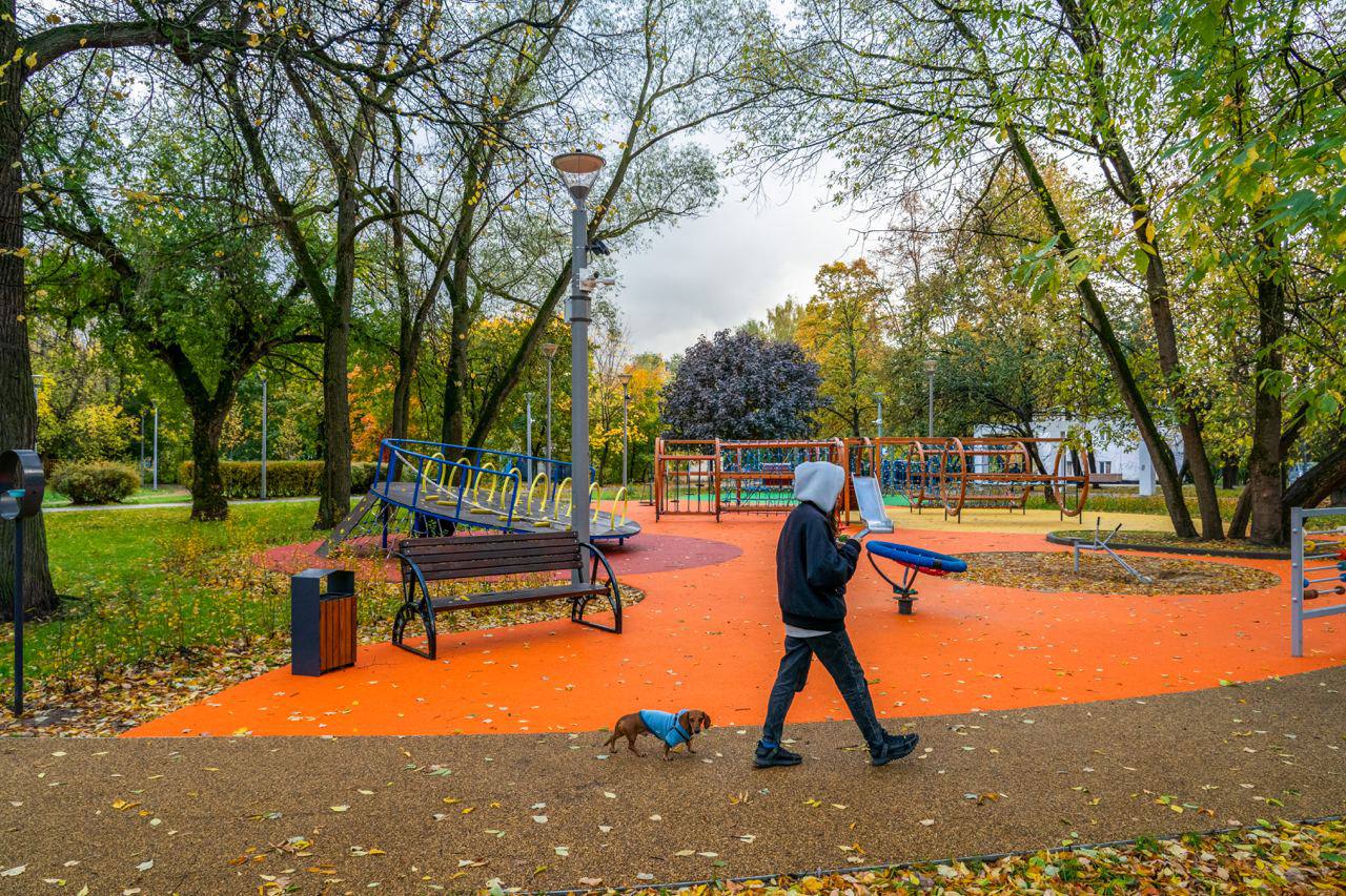 сквер улица Юности, осень, собака, прогулка, дорожка, фото КГХ