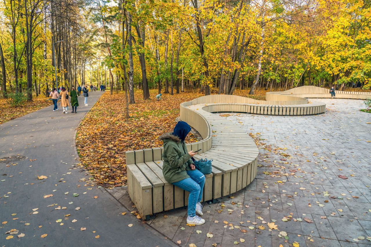 Покровское-Стрешнево, скамейка, лавочка, парк, осень, фото КГХ