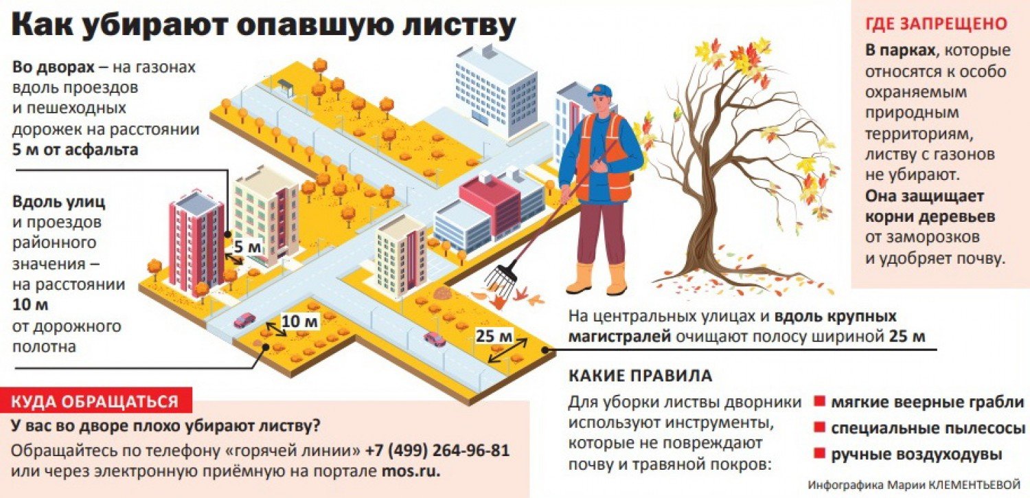 переработка листьев, фото mos.ru