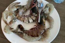 креветки, морепродукты, еда, продукты, фото Наталия Бахарева