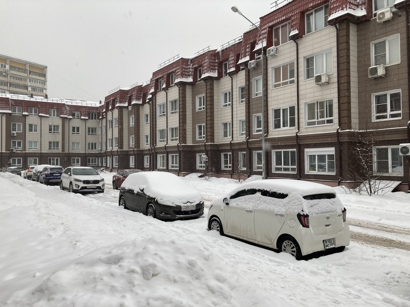 зима в Подмосковье, снег, двор, фото Нина Донских