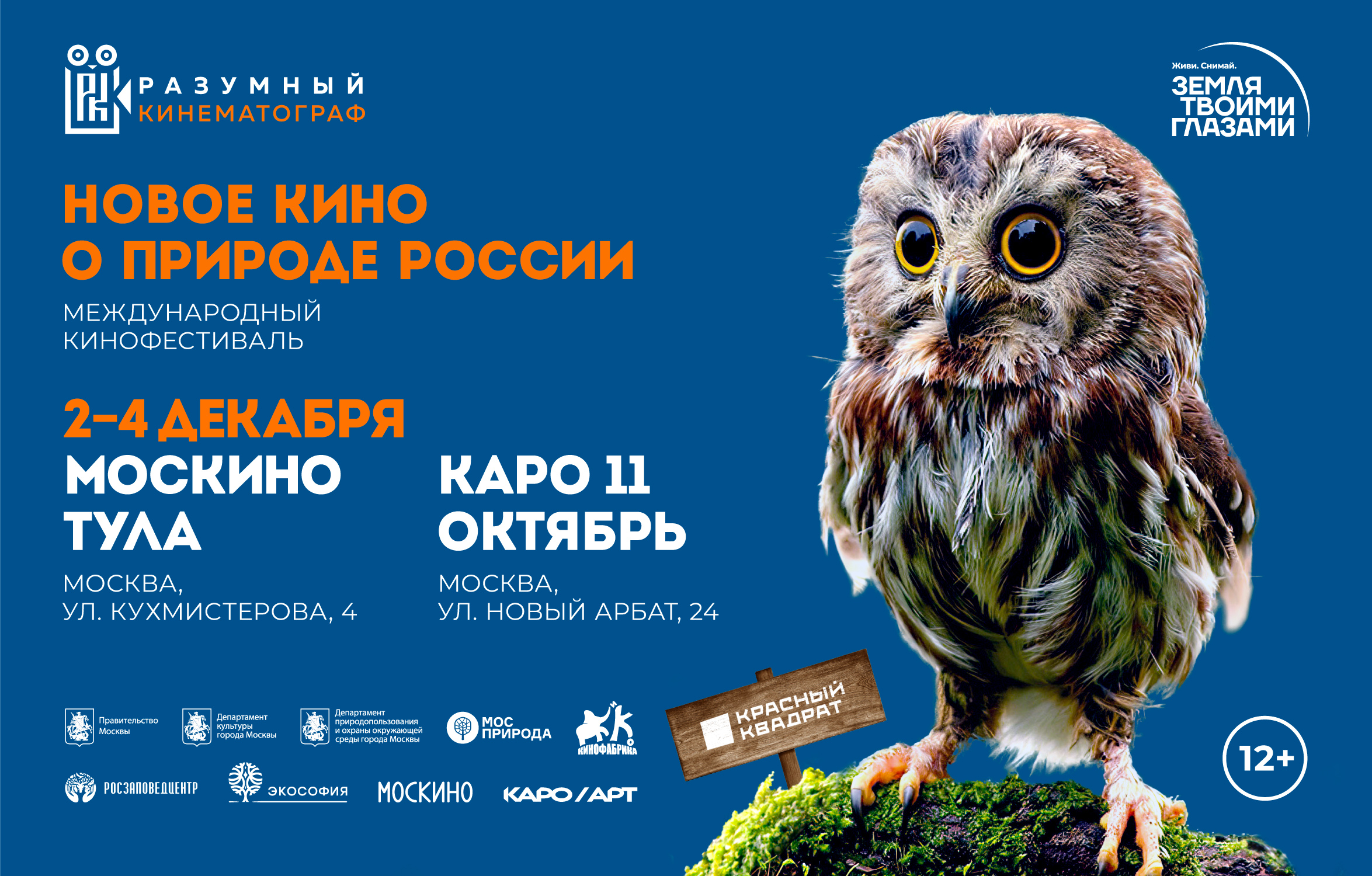 разумный кинематограф, кинофестиваль