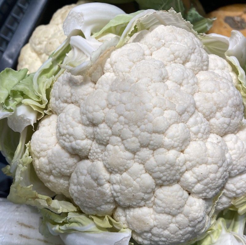 цветная капуста, овощи, еда, продукты, фото Нина Донских