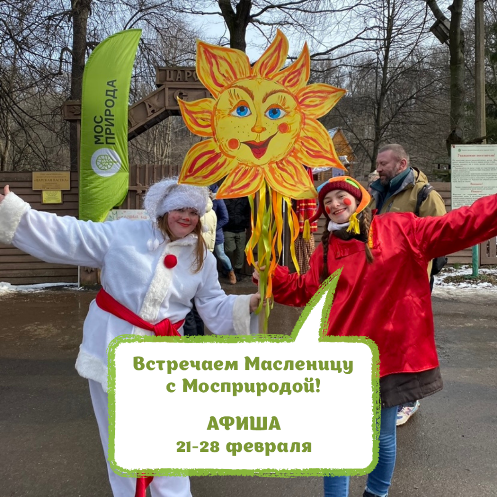 Масленица, фото Моспирода