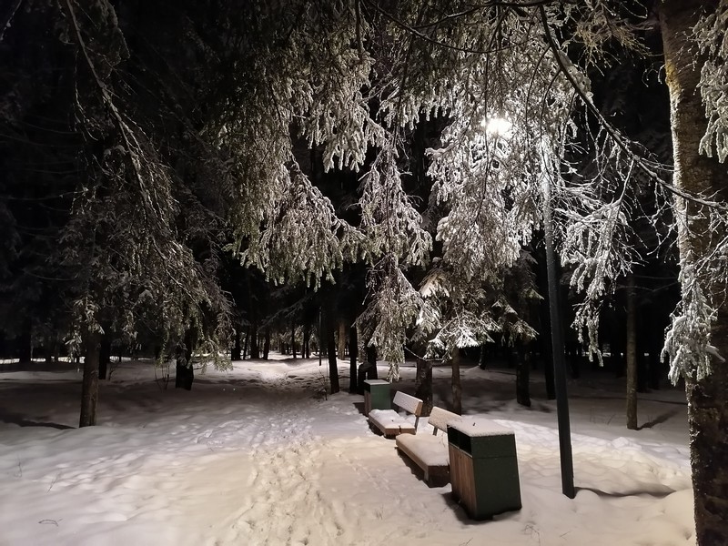 ель, снег, зима, природа, фонарь, лавки, скамейка, ночь, парк, фото Юлия Смагринская