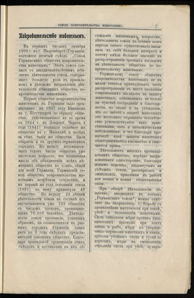 защита животных, фото Главархив