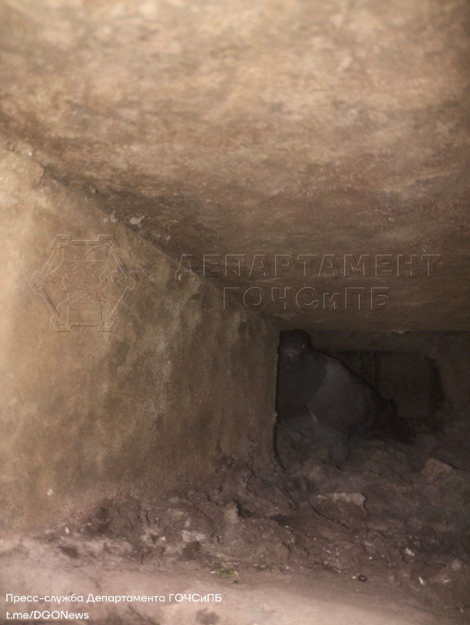 вентшахта, голубь застрял, фото ГОЧС