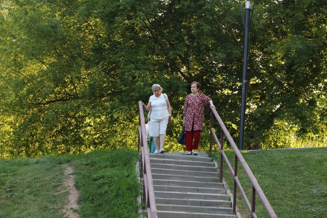 лестница, Аршиновский парк, лето, фото Юлия Смагринская