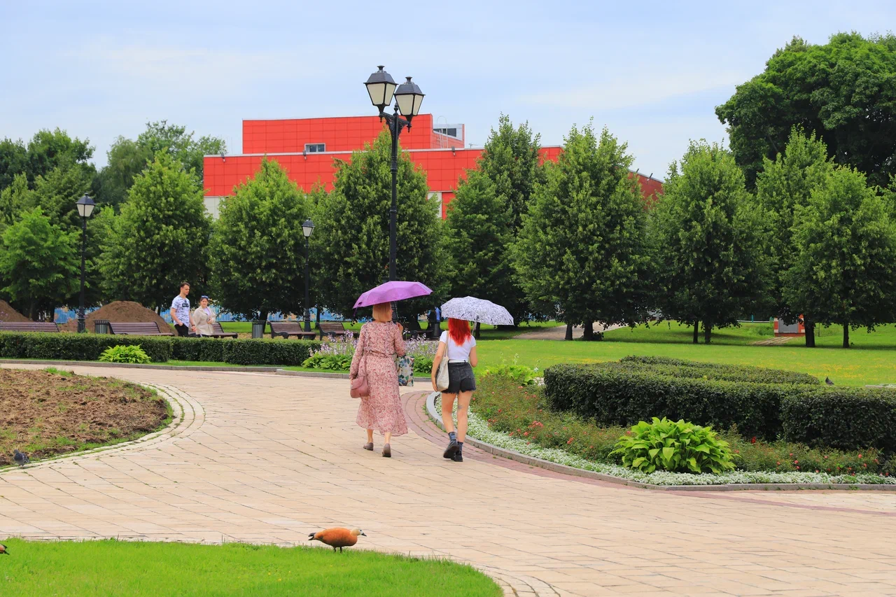 дождь, парк Царицыно, клумба, цветы, Москва, фото Юлия Смагринская