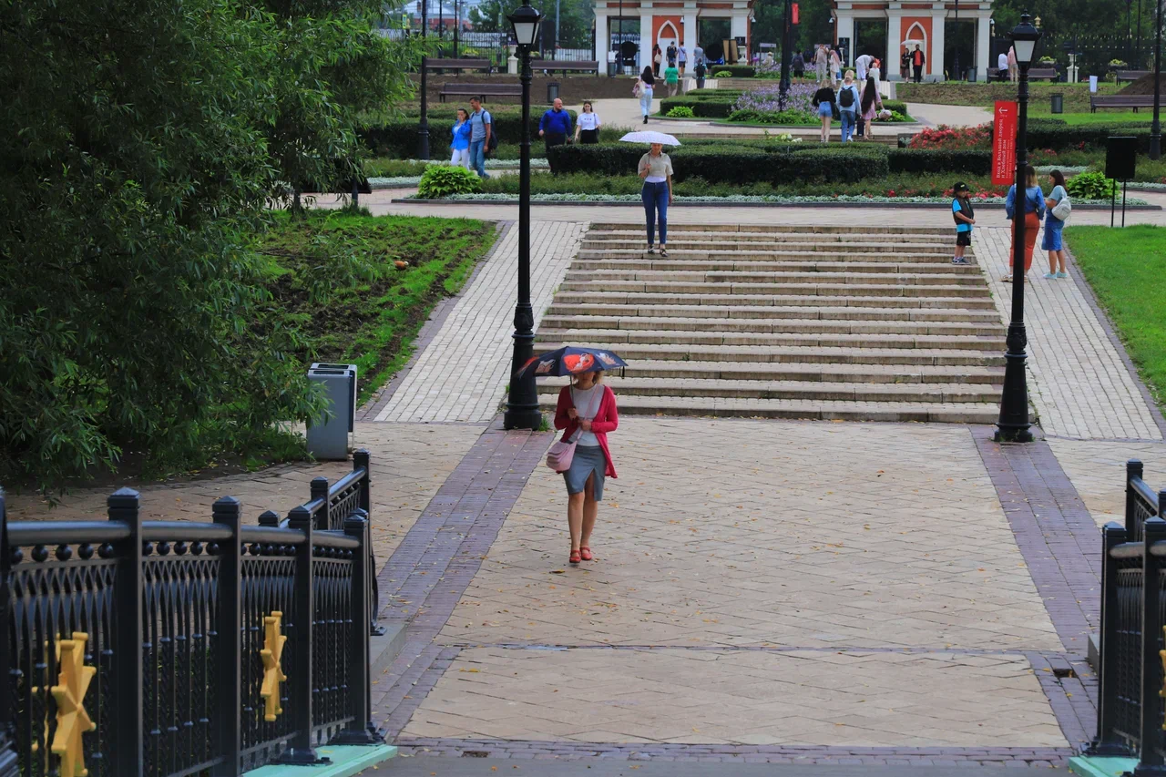дождь, парк Царицыно, клумба, цветы, Москва