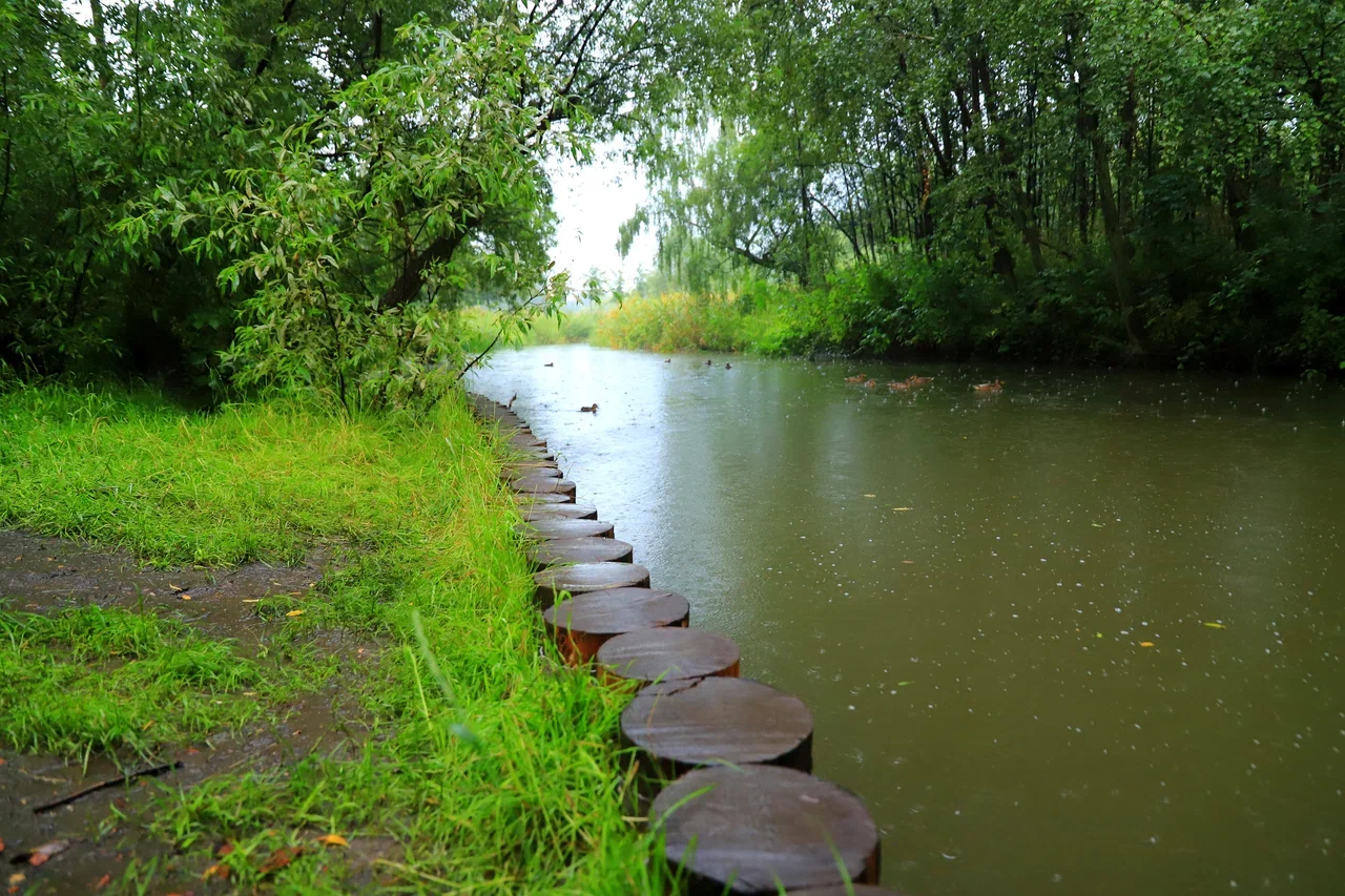 река Городня, дождь, фото Юлия Смагринская