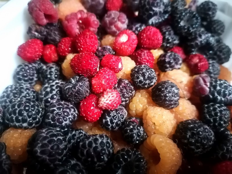 ягоды, малина, ежевика, земляника, еда, продукты, фото Юлия Смагринская