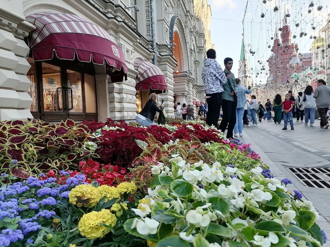 цветы, клумба, Москва, город, лето, фото Юлия Смагринская