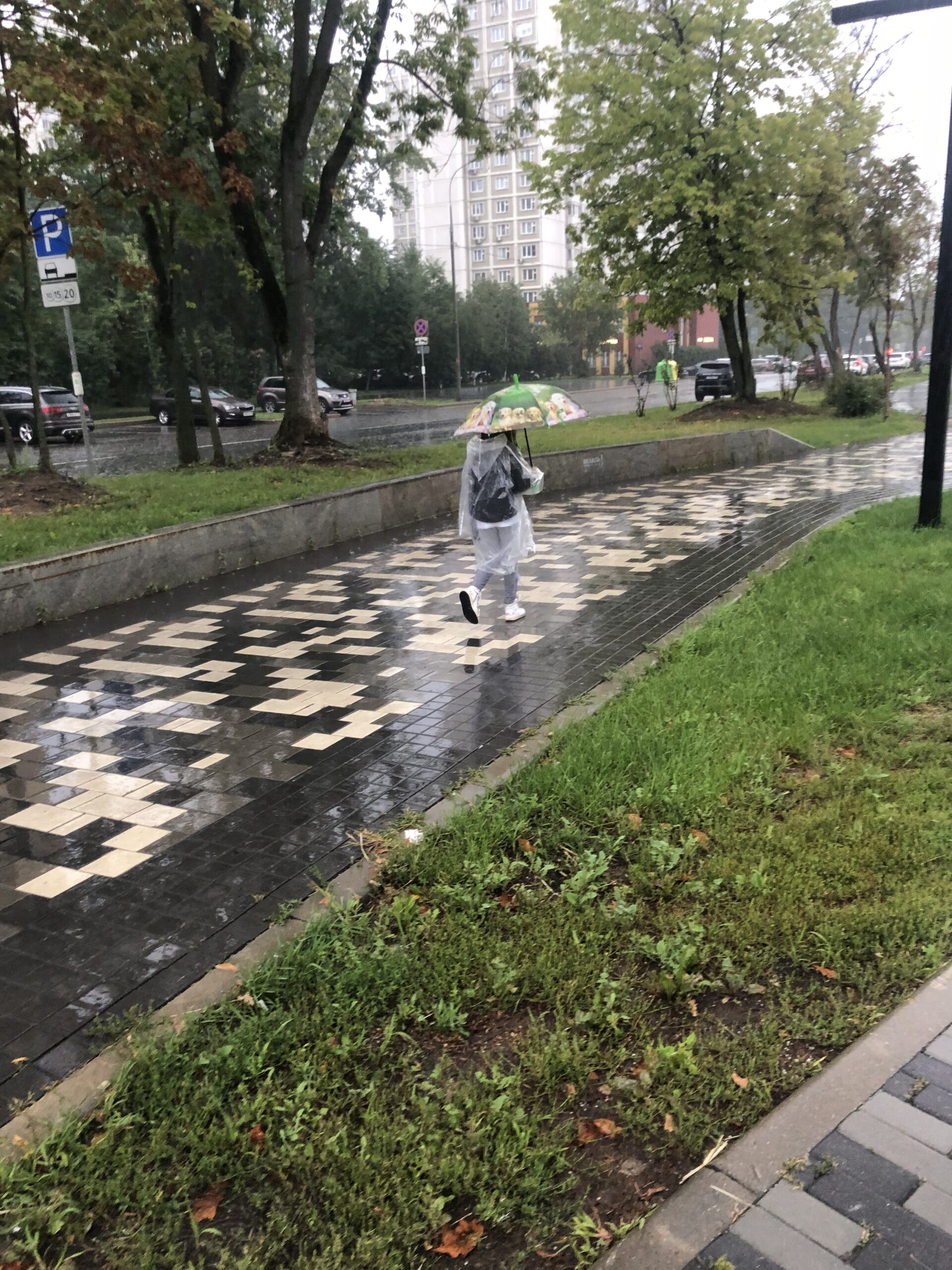 ливень, дождь, фото Лидия Миловидова