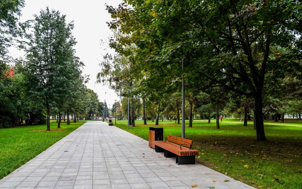 парк имени 40-летия ВЛКСМ, благоустройство, фото sobyanin.ru