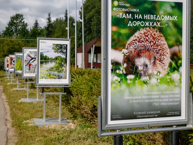 Бирюлевский дендропарк, фотовыставка, фото Мосприрода