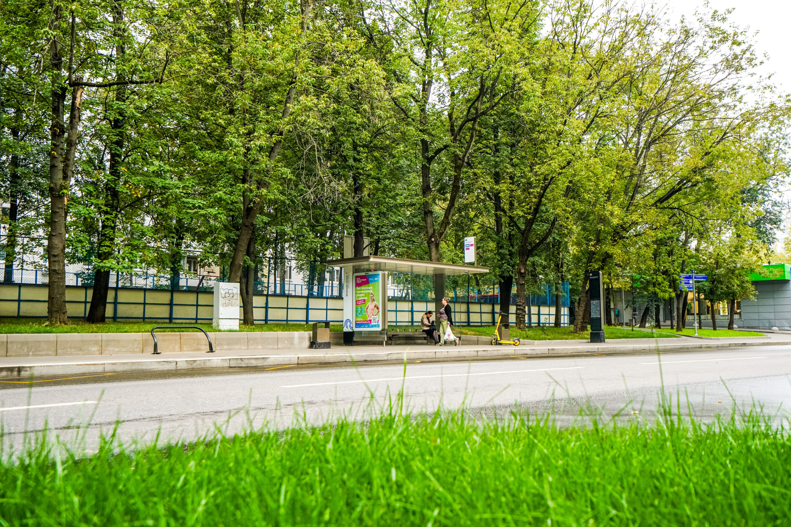 БКЛ «Кленовый бульвар», остановка, газон, фото КГХ