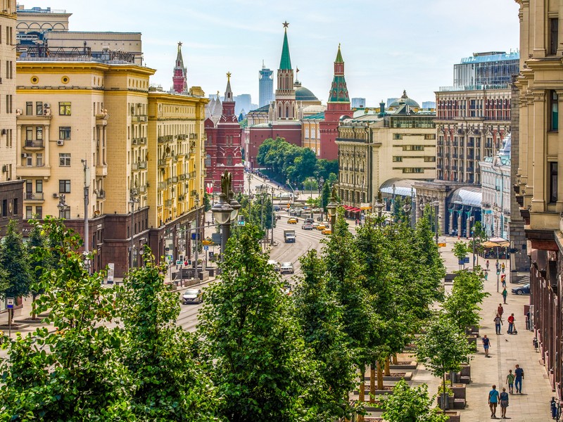 благоустройство, высадка деревьев, фото sobyanin.ru
