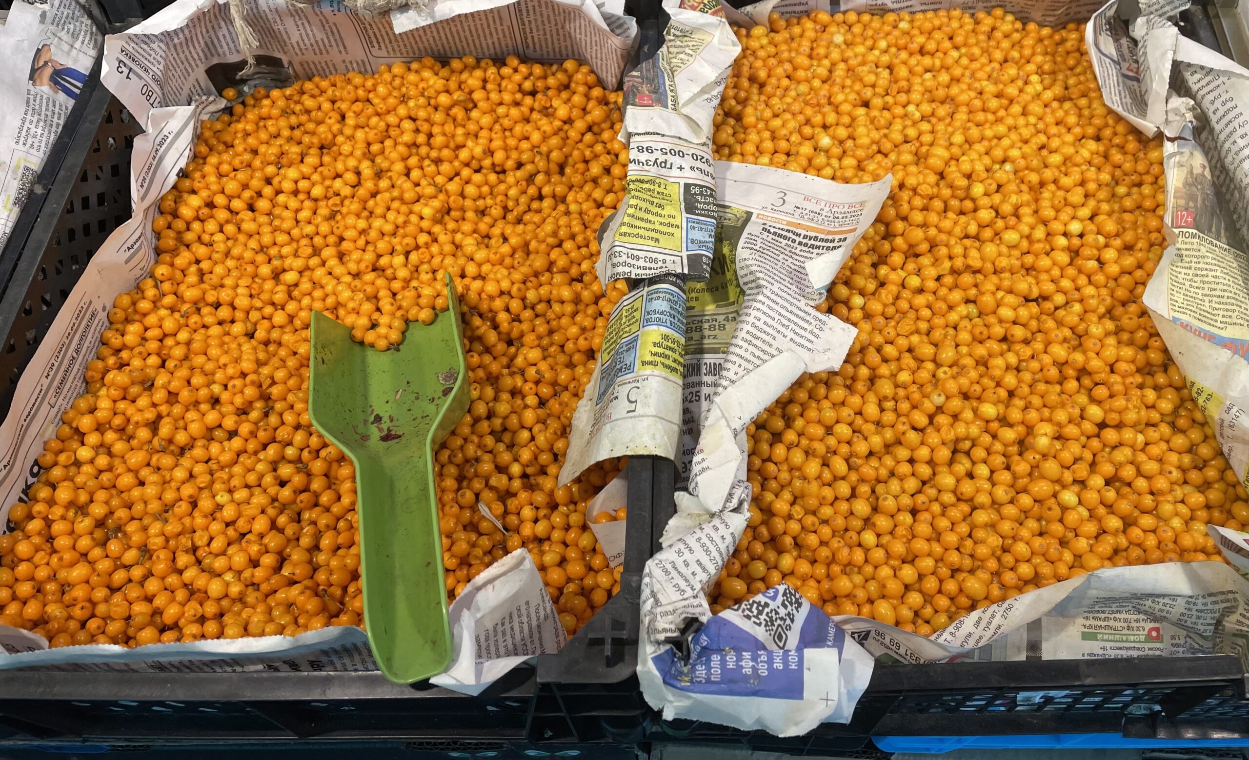 Облепиха, ягоды, еда, продукты, фото Наталия Бахарева