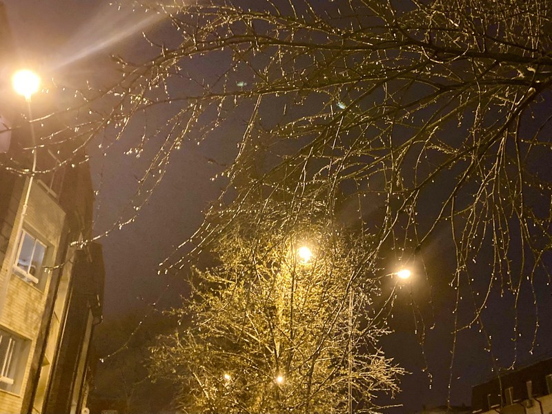 деревья, фонарь, ночь, фото Нина Донских