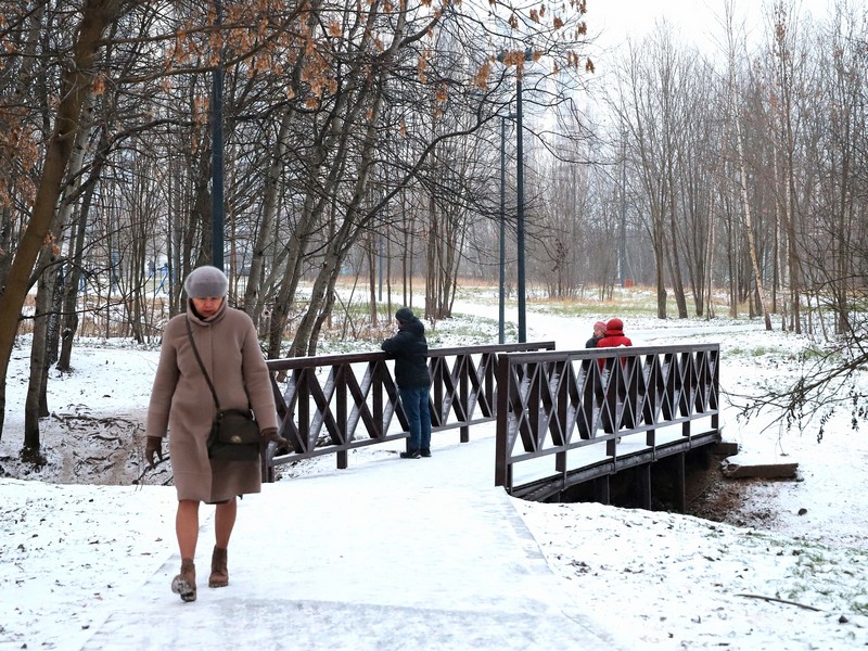 зима, город, парк у улицы Медведева, погода, экотропа, фото Юлия Смагринская