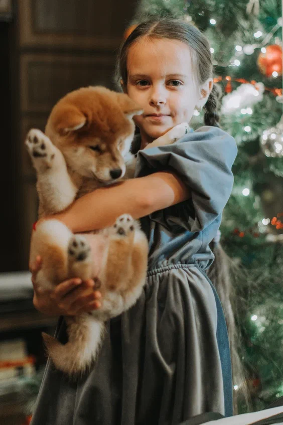 Не скажу